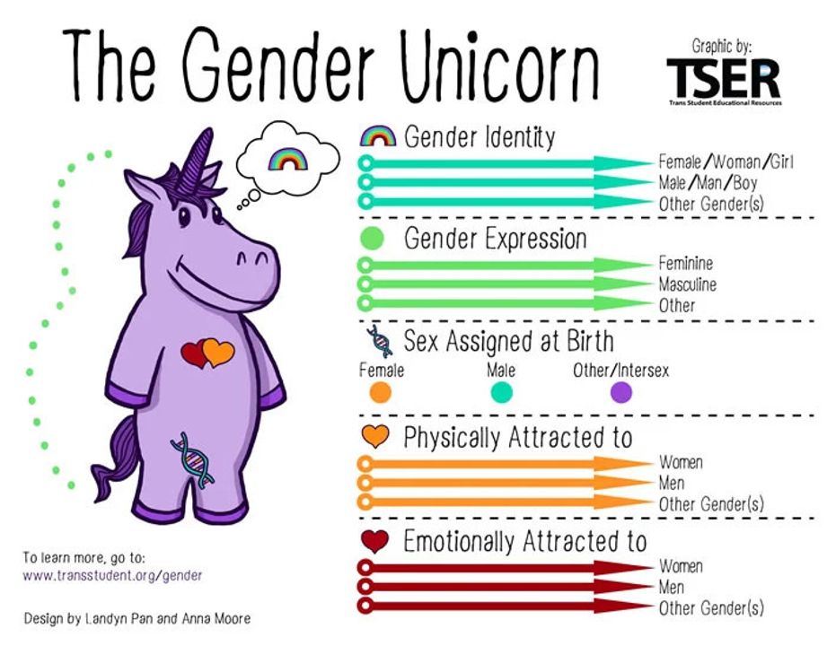 Mô hình The Gender Unicorn - Bởi TSER