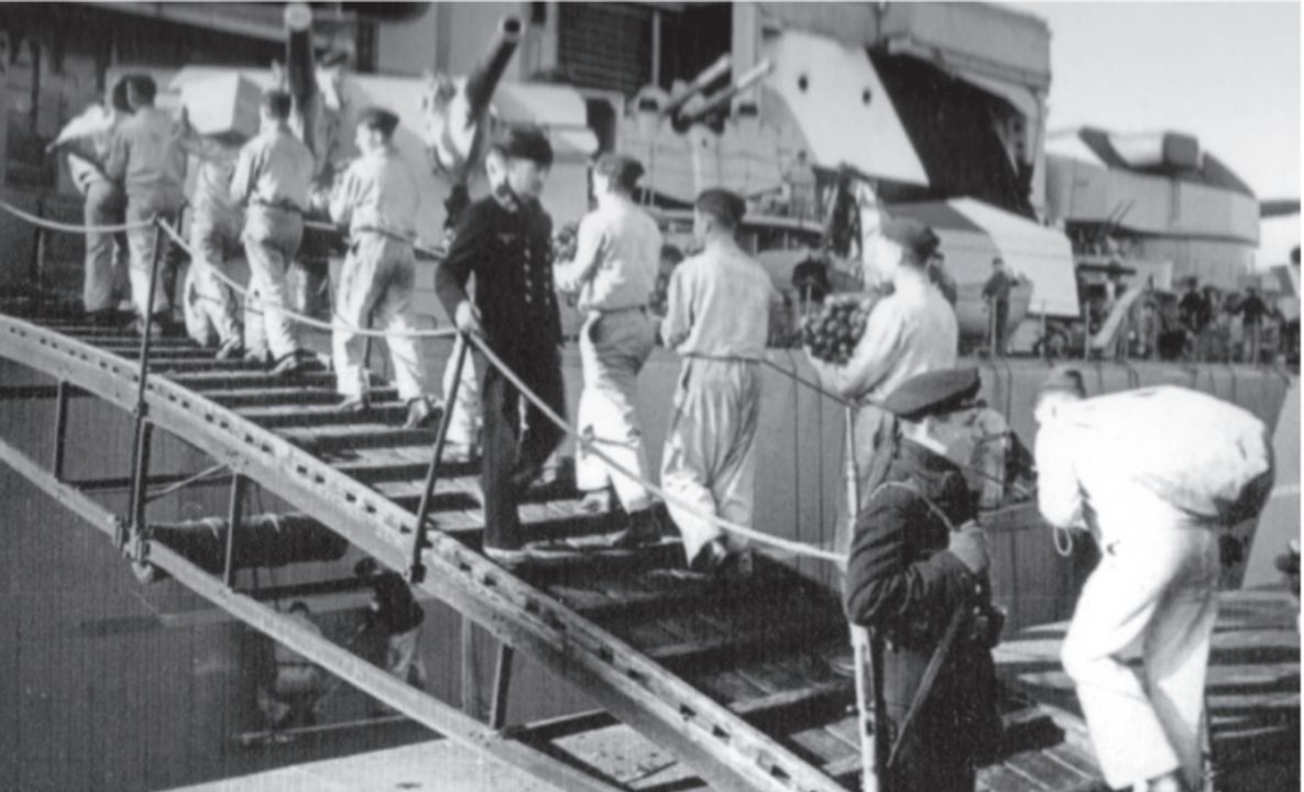 Việc vận chuyển và dự trữ hàng hóa trên thiết giáp hạm lớp Bismarck cũng tương tự như trên các thiết giáp hạm của Anh. Cả thiết giáp hạm Đức và Anh đều được trang bị các kho lớn để chứa hàng khô và chất lỏng, cùng với kho lạnh chuyên dùng để bảo quản thịt đông lạnh.