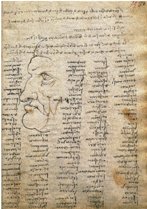 Leonardo học ngôn ngữ và hình vẽ khi ông chán