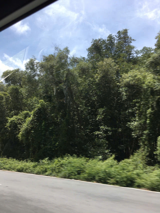 Khung cảnh qua cửa xe ô tô vào cái lần đầu mình nhận ra mình đã có thể sử dụng laptop trên xe quá mượt lun. Đoạn này ở rừng nào đó trên cung đường công tác từ Long An sang Vũng Tàu, chỉ nhớ lúc đi qua đoạn rừng này bị mất sóng nên không làm việc được nữa, thế là rút điện thoại ra tận hưởng thui hihi. Đoạn này đẹp lắm, mình chụp 6 nên trông cứ đểu đểu thế thui.