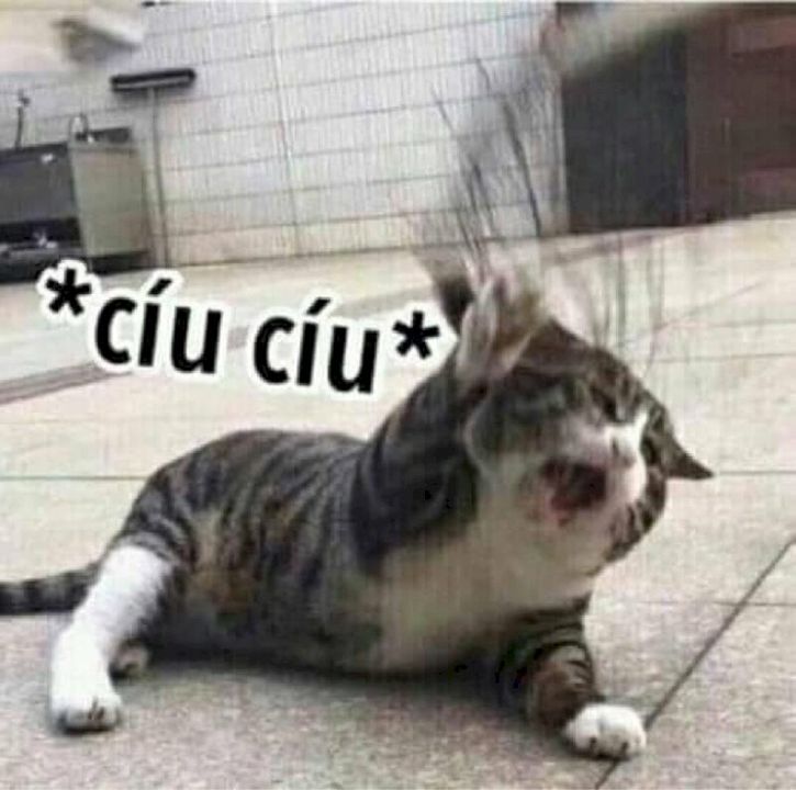 Cái nút nguồn said: (Nguồn: Google)