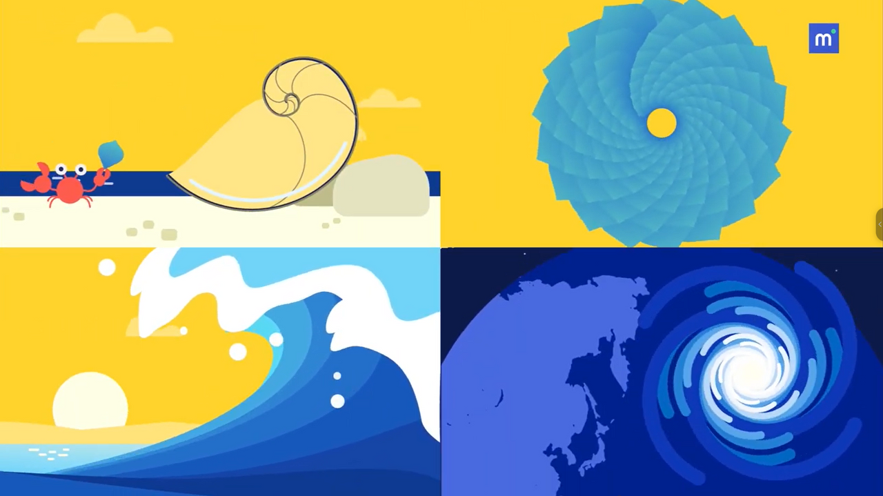 Hình ảnh minh họa xoắn ốc logarithm trong tự nhiên. Nguồn: <a href="https://www.youtube.com/@ManabieVietnam">Manabie Vietnam</a>