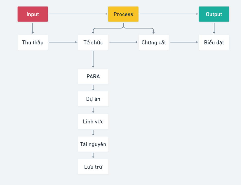 Biểu đồ minh họa