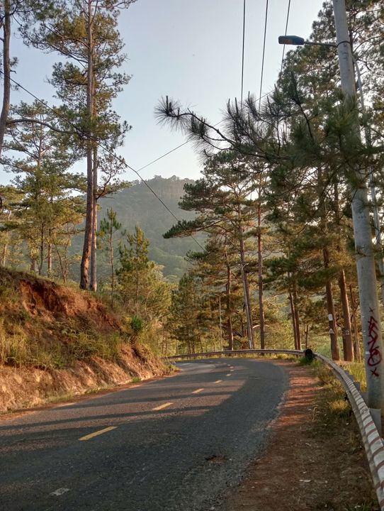 <i>Đà Lạt - nơi mình sống</i>