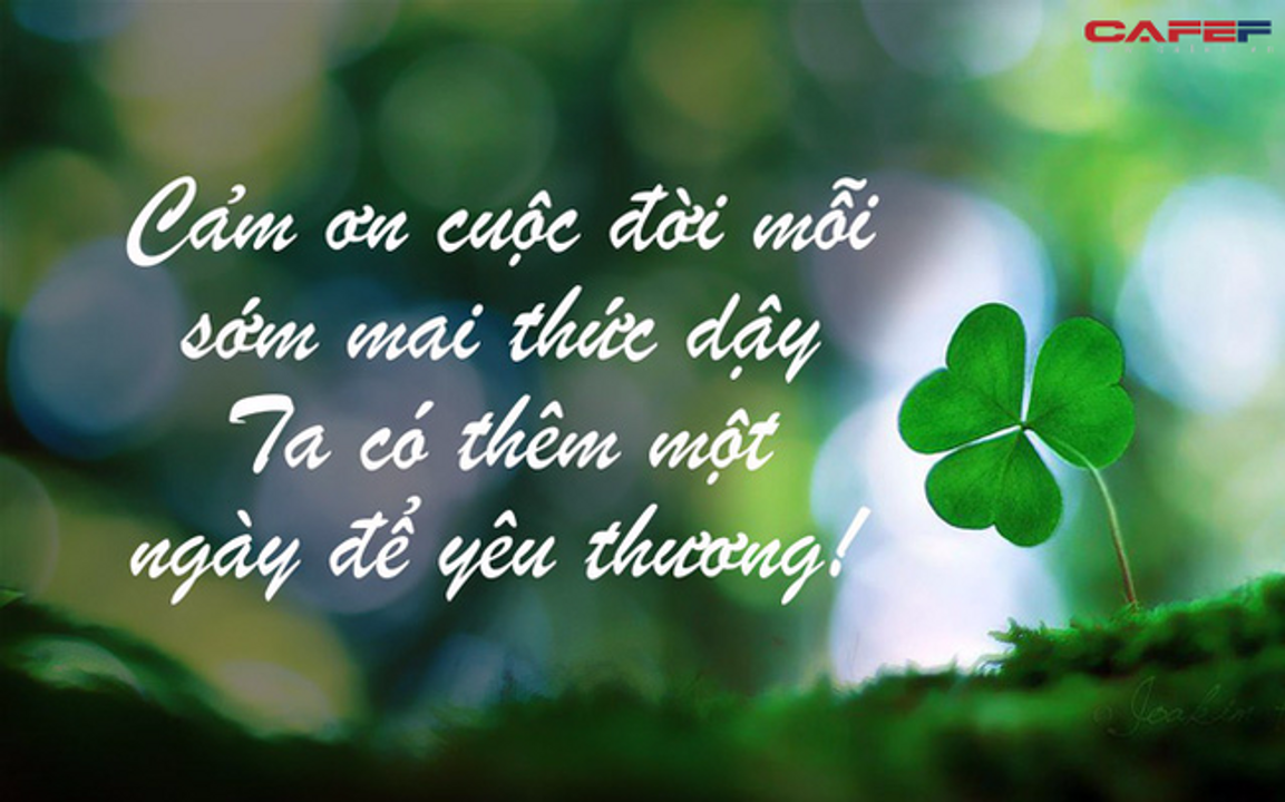 Mỗi ngày một yêu thương