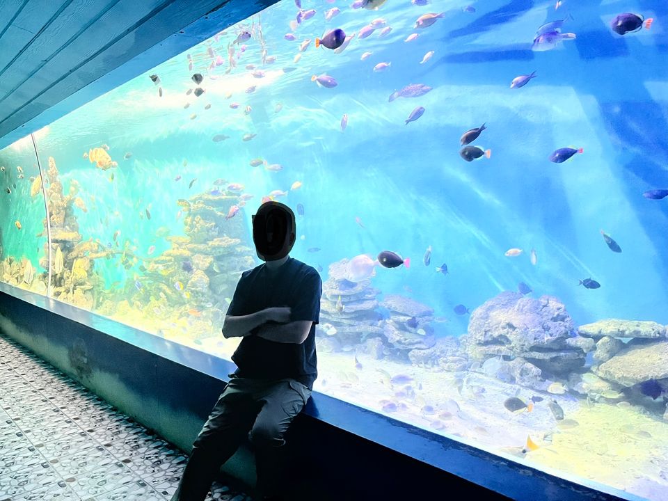 Người là phụ, bối cảnh là chính