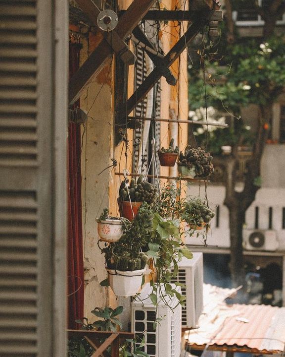 Nguồn ảnh: Pinterest