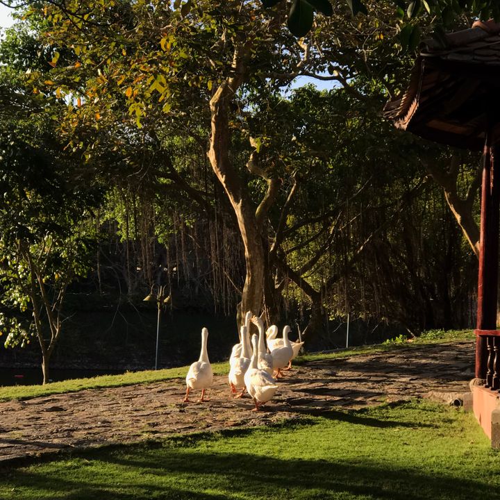 Ngắm nhìn mọi sự vật, sự việc chuyển động trong tự nhiên cũng là cách để lòng mình tĩnh lặng