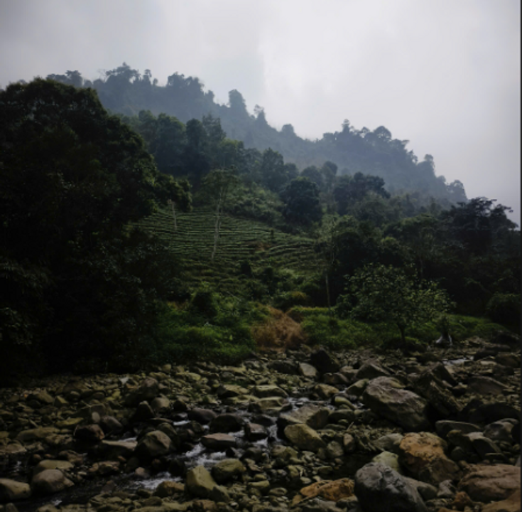 Hùng vĩ thực sự.