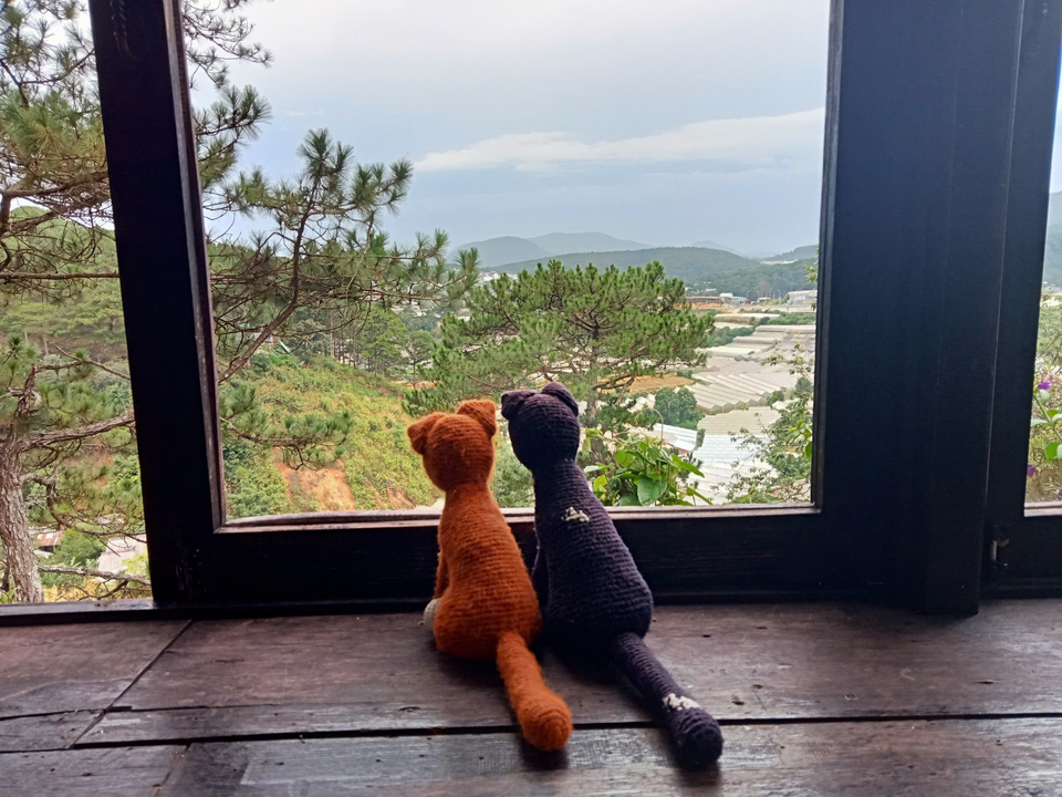 Hôm qua, ở 1 quán cà phê nọ ☕