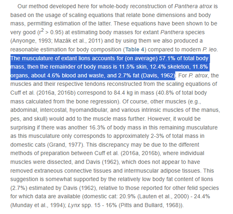 Cơ bắp của sư tử. 