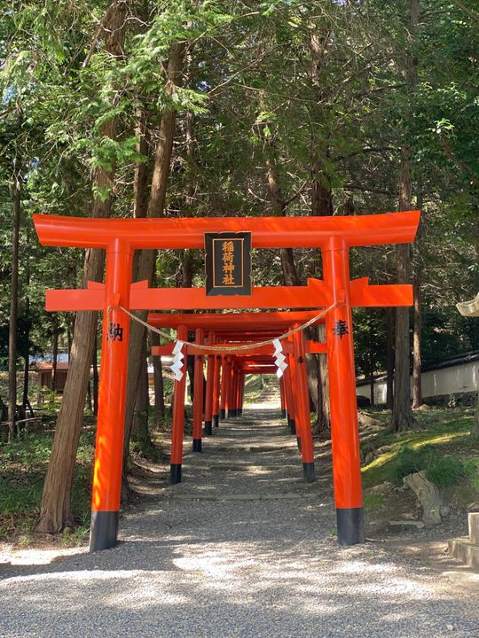 Torii Gate