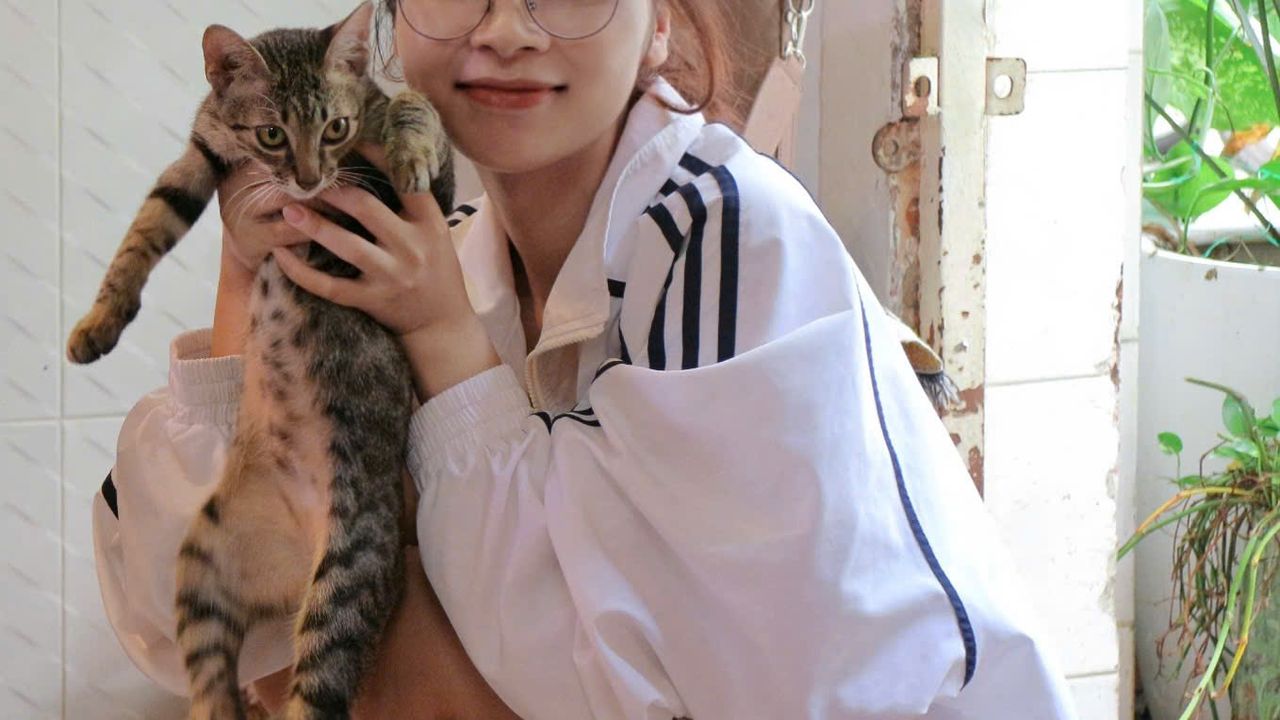 <i>Mèo siêu quậy ở The Cory</i>