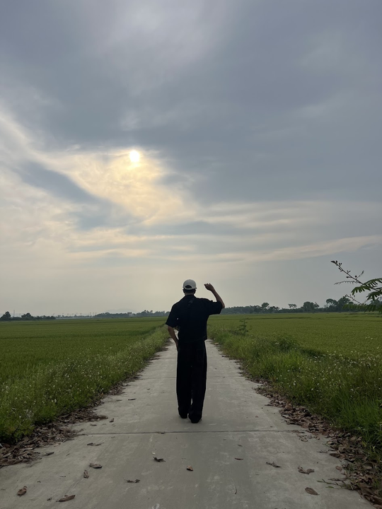 Đi giữa đồng lúa mênh mang trên đường về quê Bác