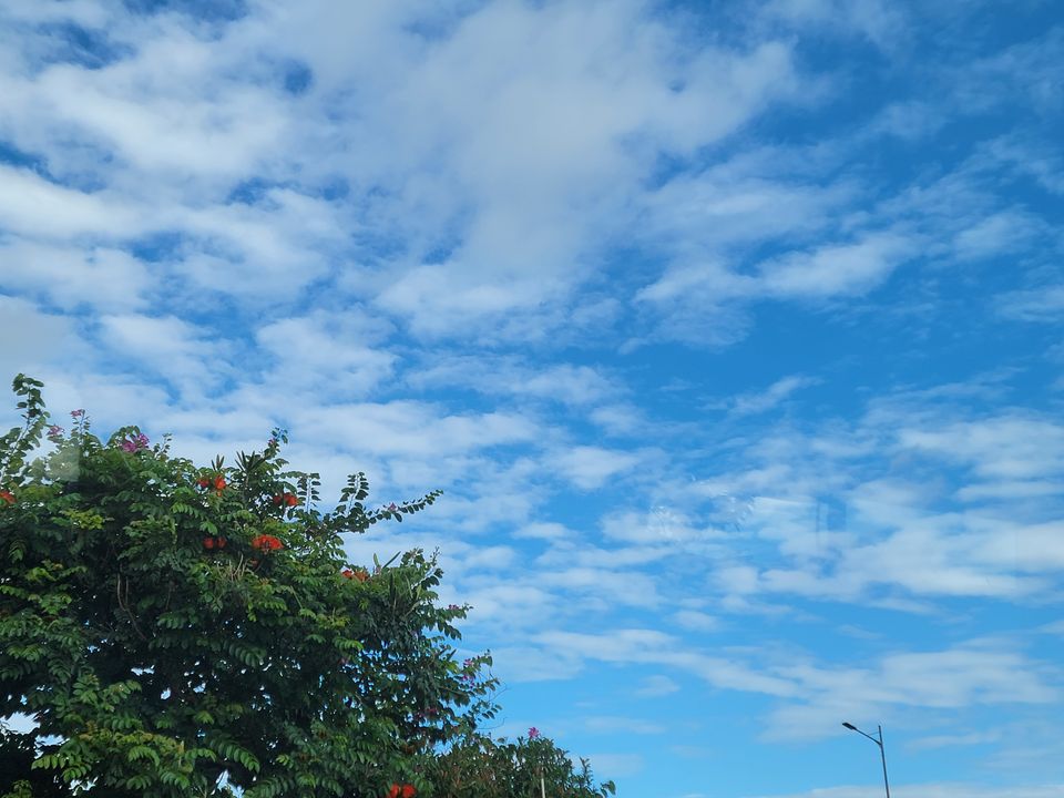 Trời Vân Nam nay trong xanh đến lạ ...