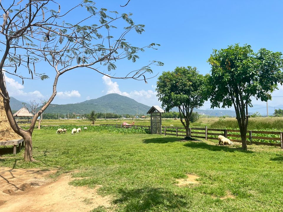 Cảnh sắc cũng khá đẹp