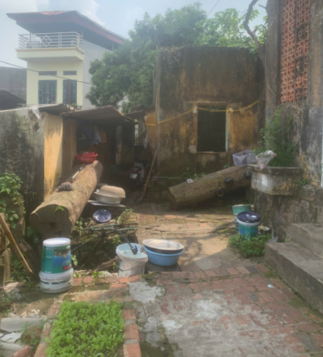 Đây là mặt trước nhà cô Nga béo. Đằng sau còn cả khu vườn rộng lớn nữa cơ rồi lên cao còn có cả căn nhà cây.