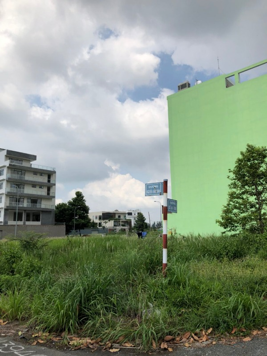 Đất nền hoang hóa sẽ trở thành nơi trú ngụ cho côn trùng, rắn rết.