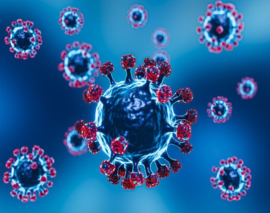 <i>Tân binh virus mới đầy nguy hiểm</i>