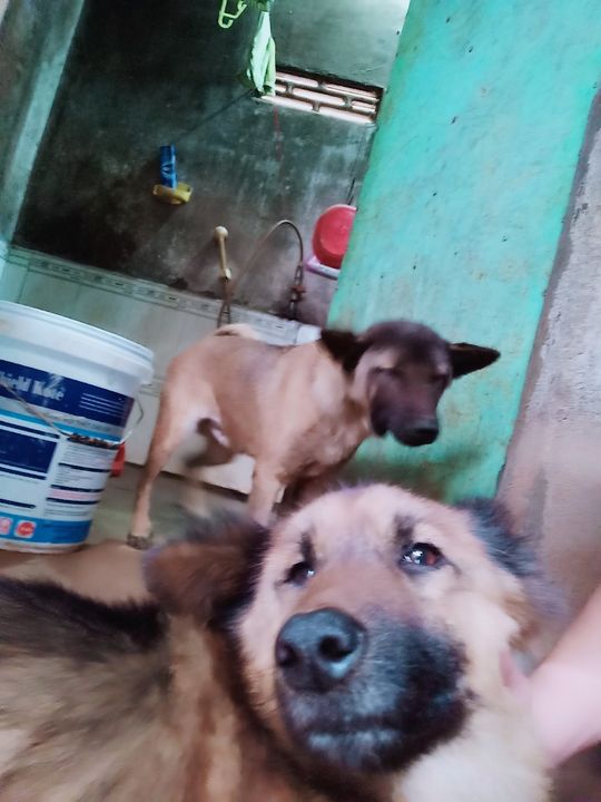 Chụp trộm nên không có nguồn.