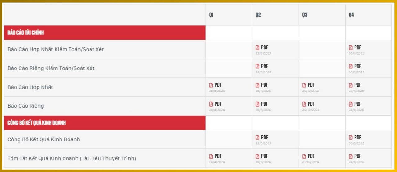 <i>Các Báo cáo tài chính Vingroup năm 2024</i>