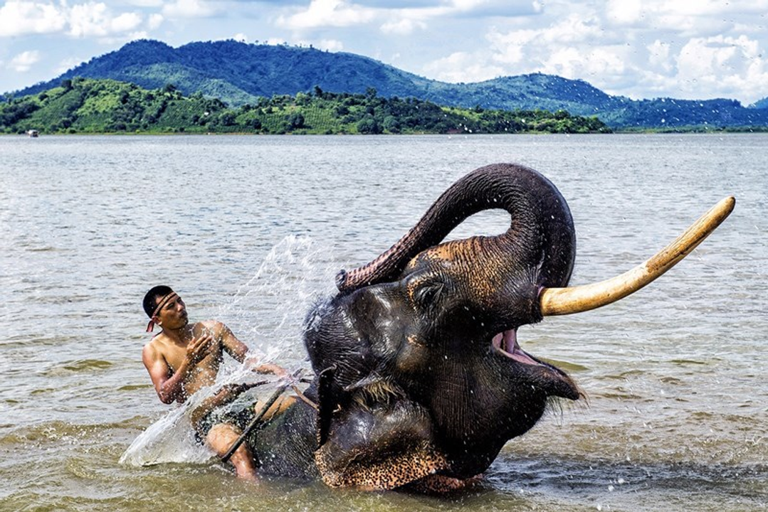 Y Vinh (Y Um) 37 tuổi, người dân tộc M’Nông, sống tại tỉnh Đắk Lắk (Việt Nam) đang tắm cho voi. Ảnh: Việt Văn