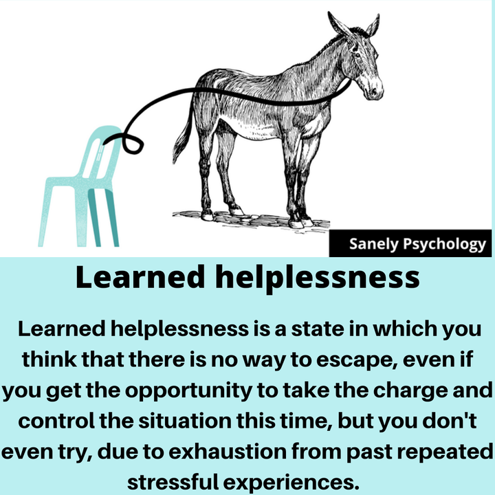 Con lừa không còn muốn thoát nữa, dù nó hoàn toàn có thể.