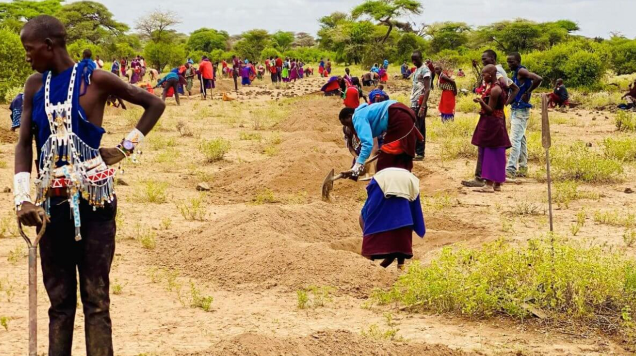 Các dự án trồng cây của Justdiggit phối hợp chặt chẽ với người dân địa phương. <i>Nguồn ảnh: </i><a href="https://justdiggit.org/news/on-going-regreening-activities-in-arusha/">Justdiggit</a>