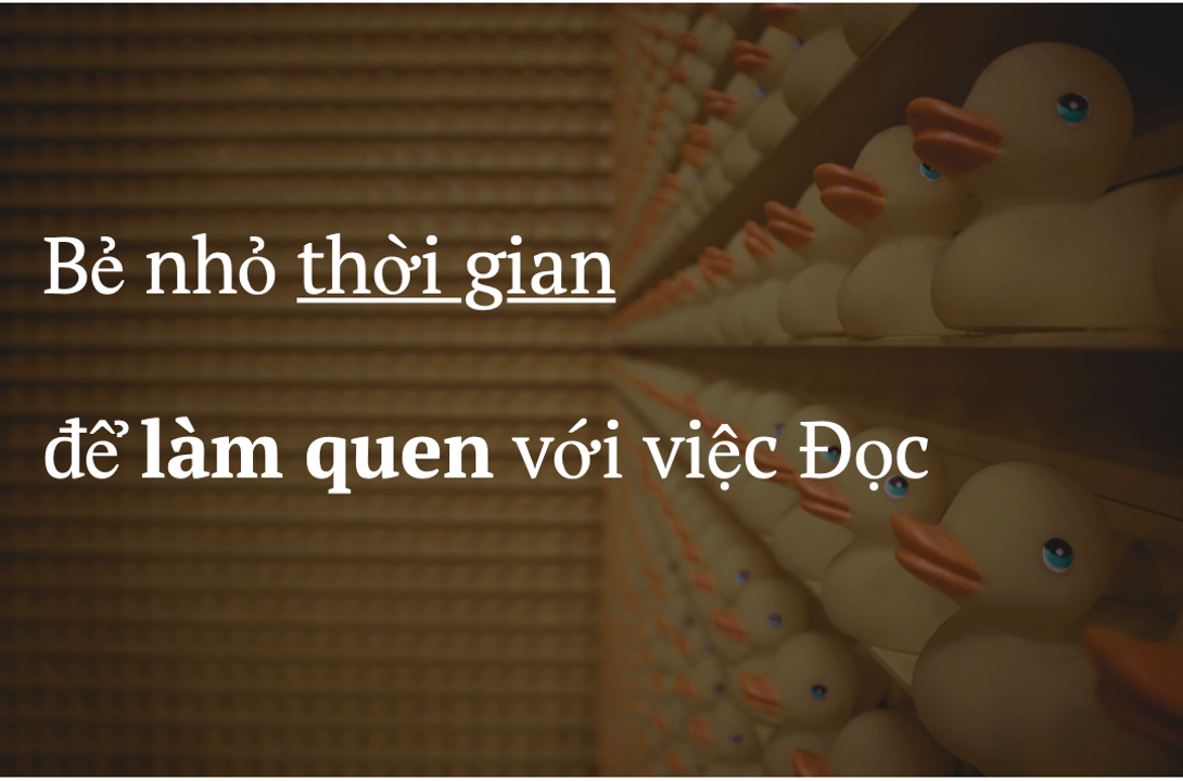 Source: Author. Photo by Designecologist on Pexels.com