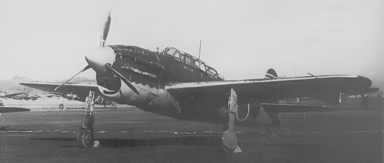 Máy bay ném bom bổ nhào tiêu chuẩn của Hải quân Đế quốc Nhật Bản vào tháng 6 năm 1944 là Yokosuka Suisei (Comet) dùng trên tàu sân bay. Hai phiên bản của loại máy bay này có mặt tại trận Biển Philippine: D4Y1, một loại ném bom bổ nhào có tốc độ tối đa 343 dặm/giờ và có thể mang tải trọng bom 683 pound, cùng với D4Y1-C, một loại máy bay trinh sát hạm đội.