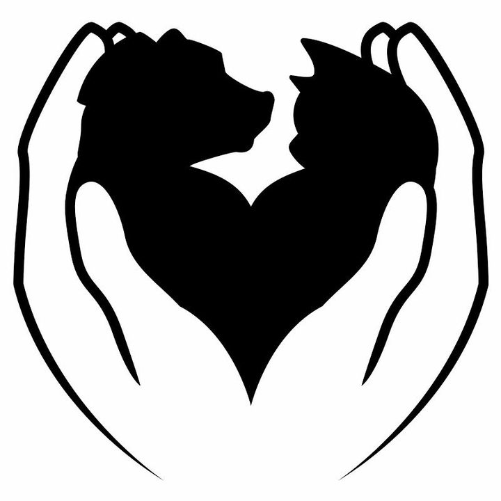 <i>Chúng tôi nhìn thấy mình trong nhau...</i>