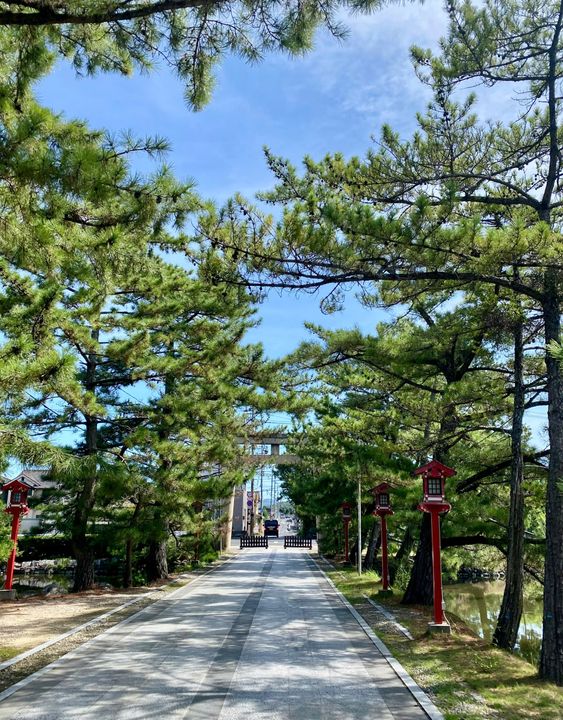 Chúng tôi ghé rất nhiều ngôi đền (shrine) và ngôi đền nào cũng đẹp, tôi cũng rút thăm nữa