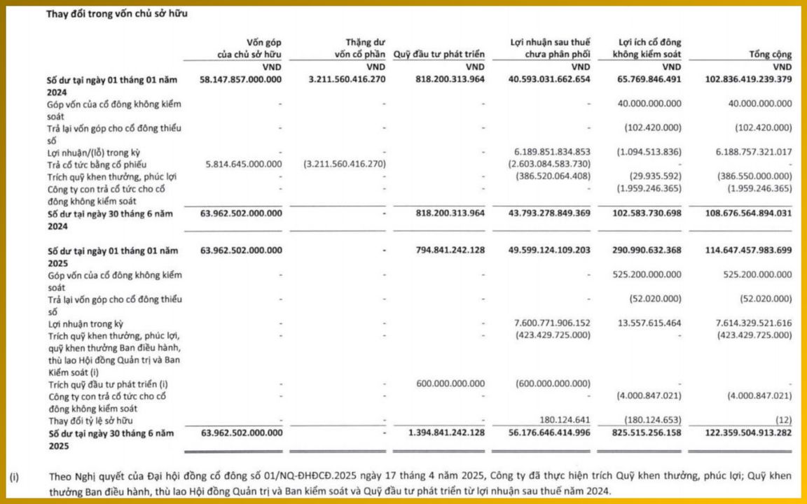 <i>SOCE cho biết cách doanh nghiệp sử dụng vốn như thế nào</i>