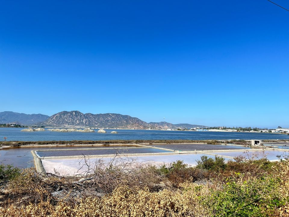 Cảnh cánh đồng muối