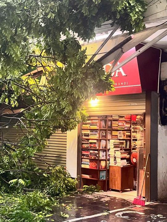 Tiệm sách rực rỡ dưới trời cây đổ tại phố Đinh Lễ