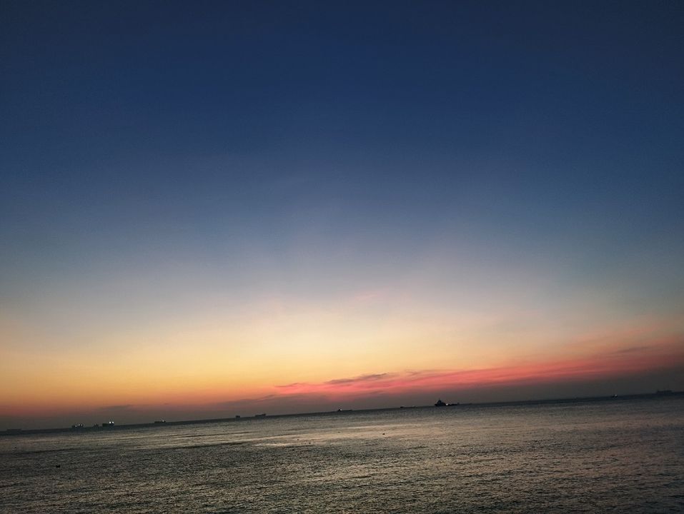 Tự do vùng vẫy nơi chân trời