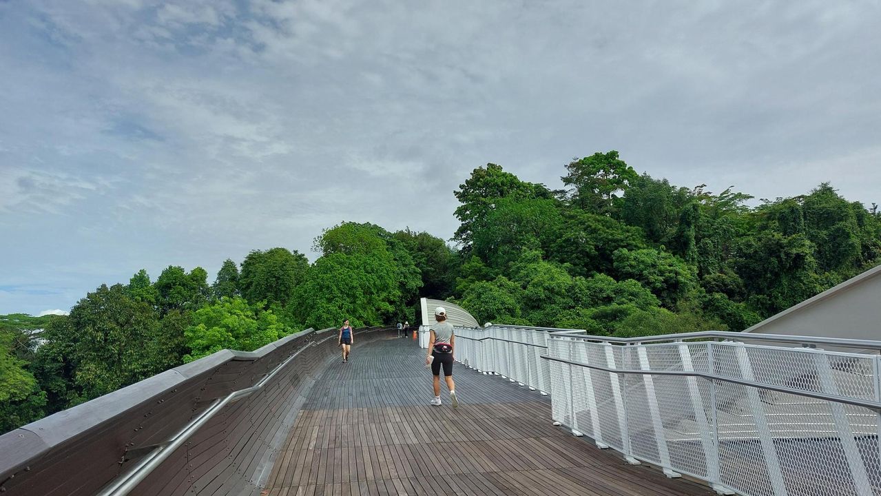 Cây cầu bằng gỗ và uốn lượn như cơn sóng