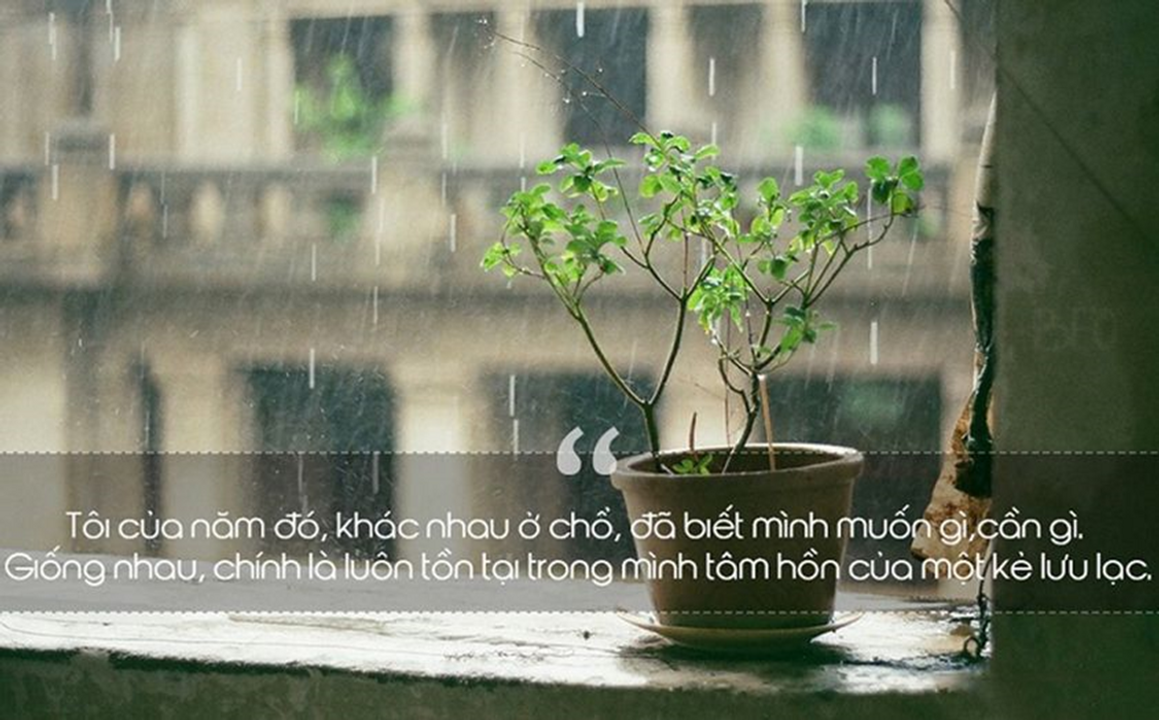 Tôi của năm đó, khác nhau ở chỗ, đã biết mình muốn gì, cần gì. Giống nhau, chính là luôn tồn tại trong mình tâm hồn của một kẻ lưu lạc.