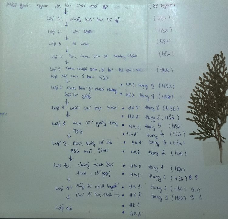 Đây là những nổ lực của mình trong những năm đi học mà mình viết trong nhật kí 