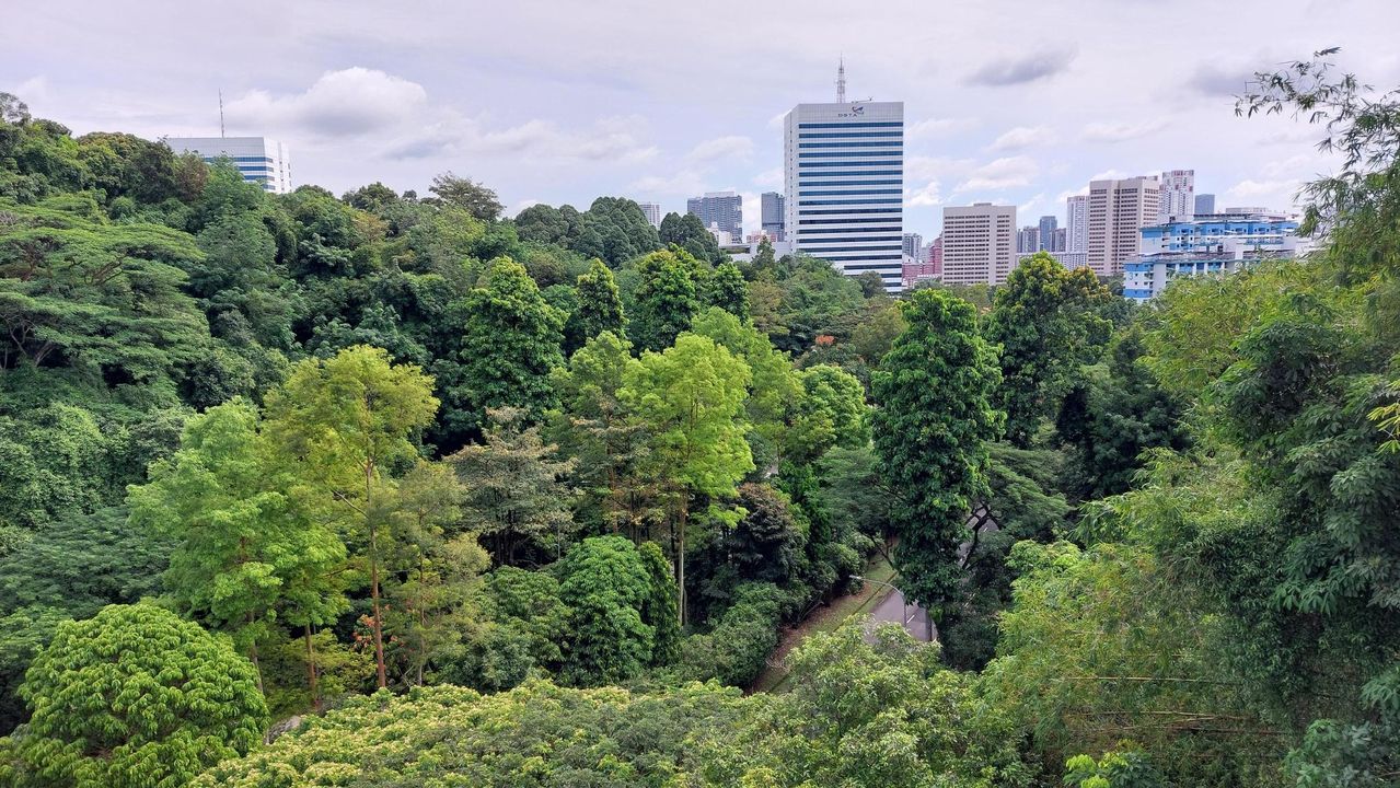 Cảnh từ trên cầu nhìn xuống