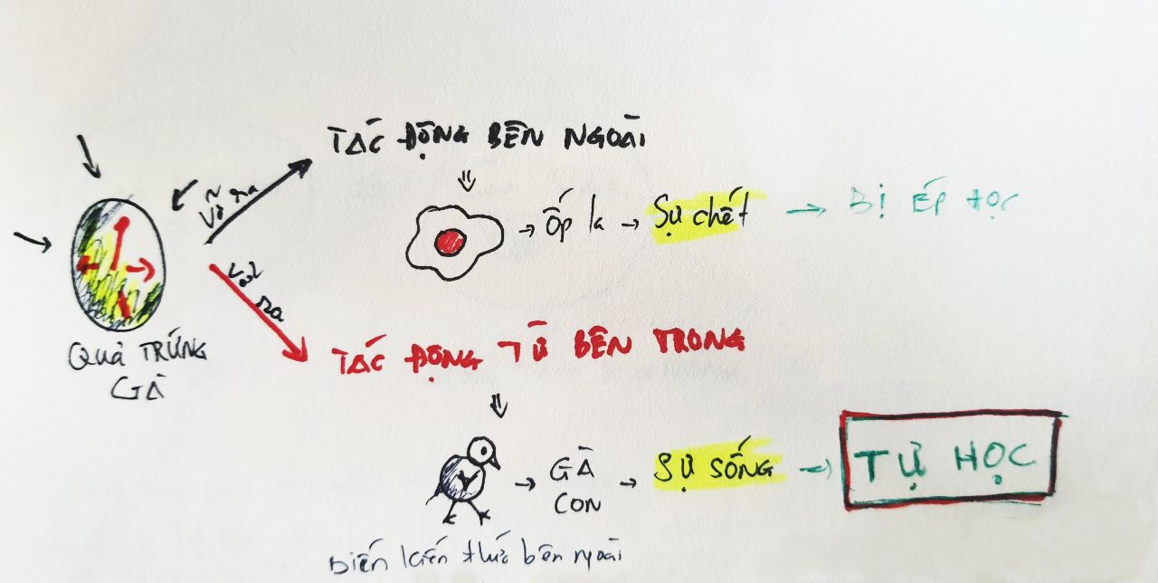 Hình tượng quả trứng gà