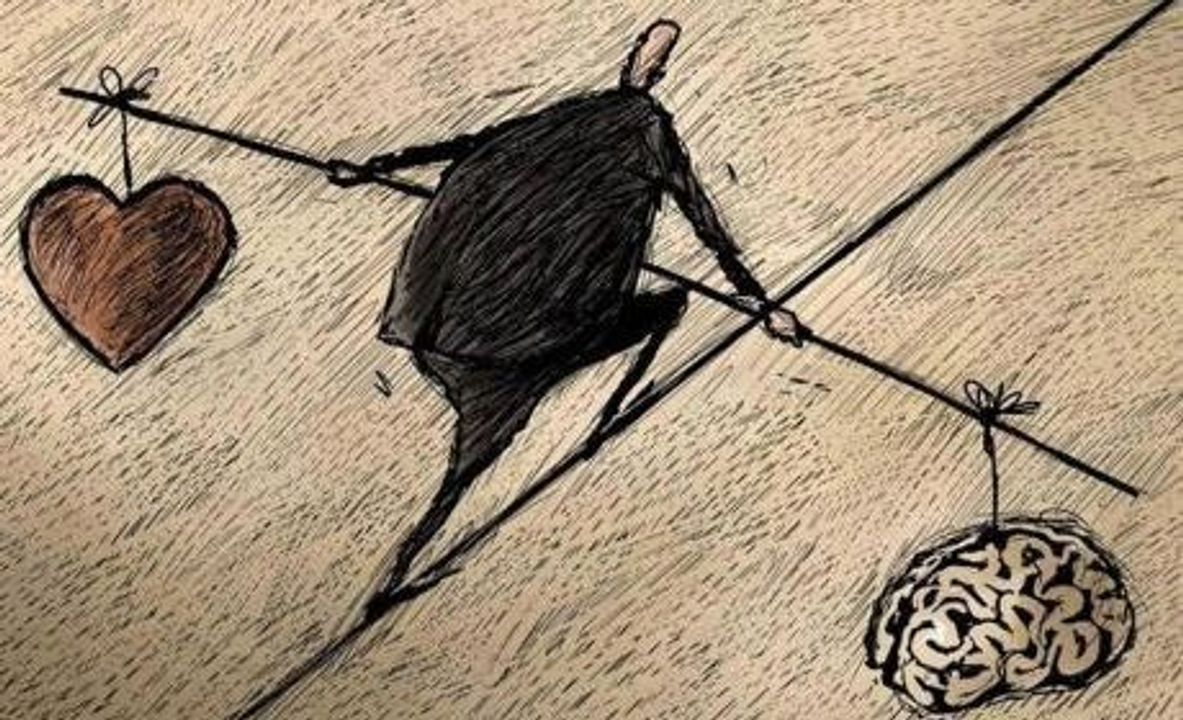 Tim trí giao tranh (Ảnh: wisdomcenter.uchicago.edu)