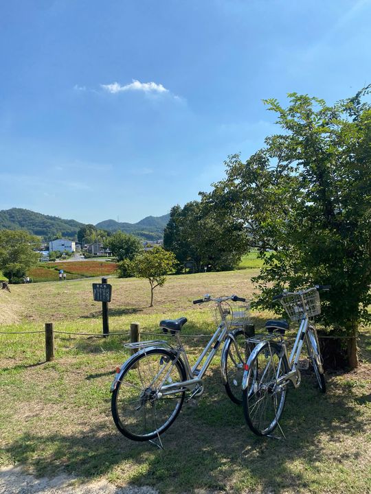 This pic is so romantic I dont know why:))