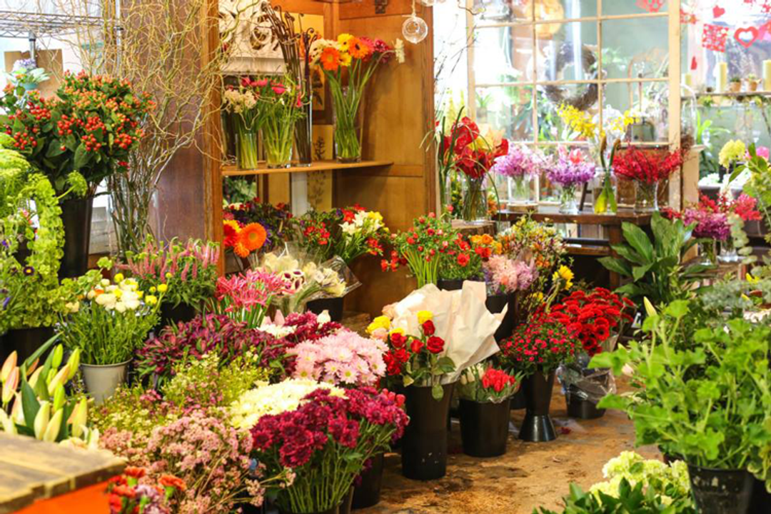 Nếu ai cho đó một khoản tiền để mở tiệm bán hoa, bạn sẽ suy nghĩ thế nào?