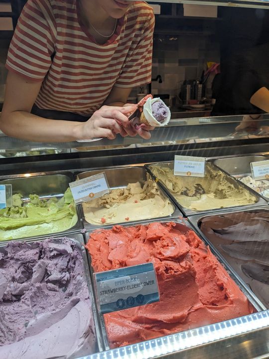 Đây là hàng kem ở Hungary, nhưng các cậu nhìn thấy sự khác biệt về chất giữa gelato Ý làm từ sữa và các loại kem khác không ạ 