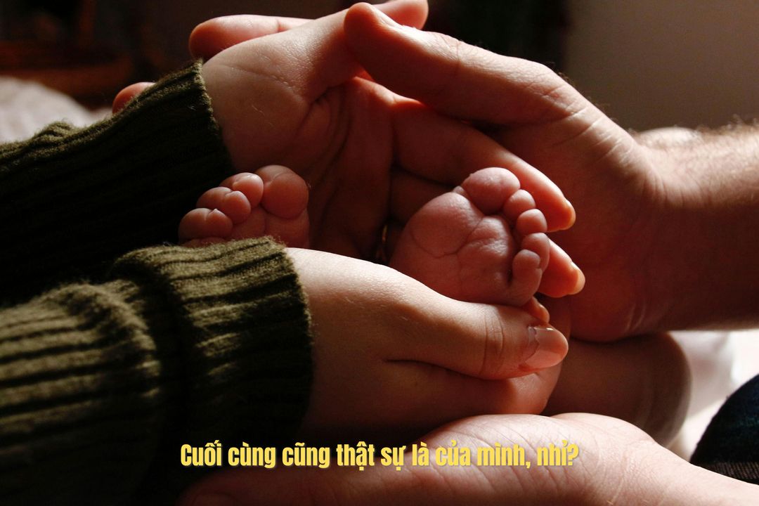 (Nguồn ảnh Pexels, Drisola Jovani)