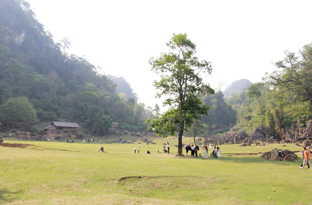 <i>Liệu nơi gốc mộc kia có chàng trai nào đó viết lên chăng ?</i>