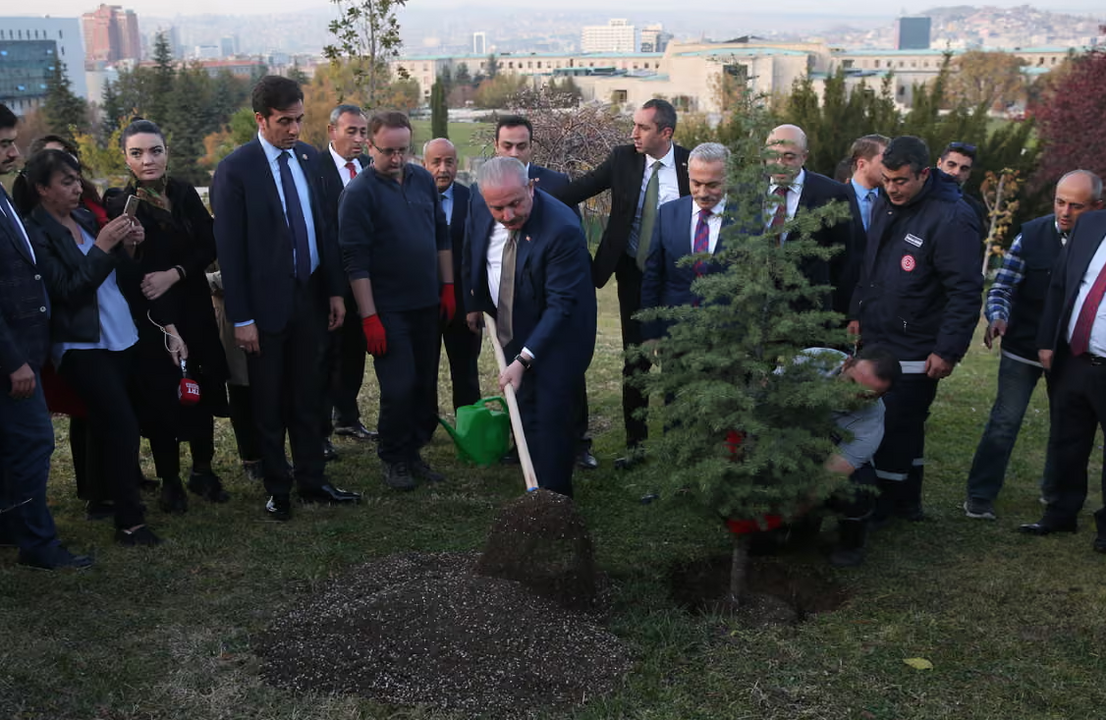 Chủ tịch Quốc hội Thổ Nhĩ Kỳ, Mustafa Şentop, trồng cây tại Ankara trong chiến dịch trồng cây toàn quốc. Nguồn ảnh: Analodu Agency / Getty Images
