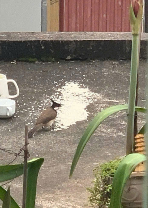 Trong yêu thương, tất cả sẽ lớn lên