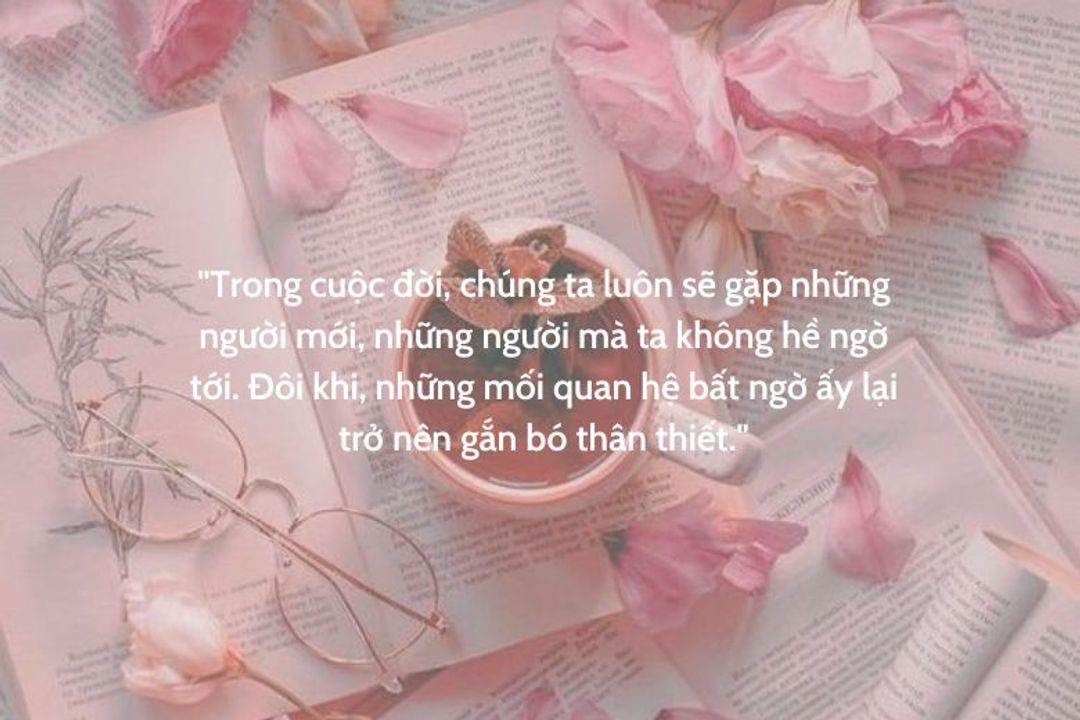 Những câu châm ngôn trong cuộc sông hay và ý nghĩa sâu sắc đối với bạn đọc